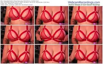 stripchat-alix_bay-06-11-2024-17-25-36