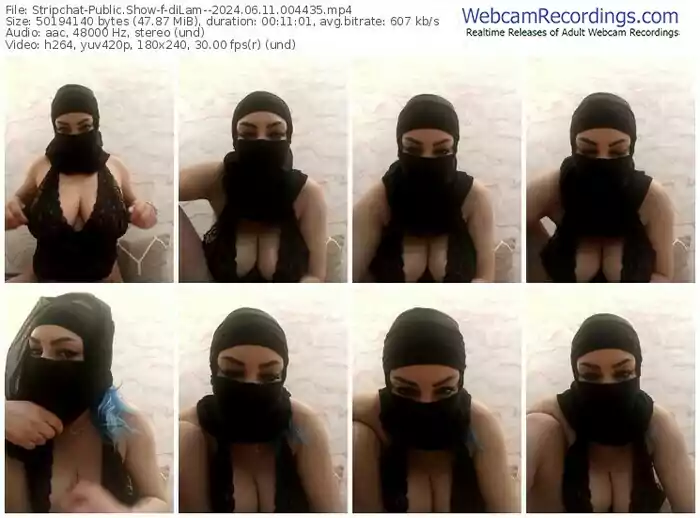 stripchat-dilam--06-11-2024-00-44-35