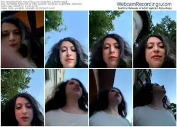 stripchat-eva_twin-06-11-2024-20-05-09