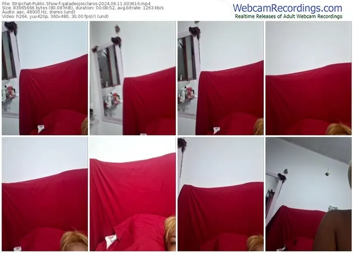 stripchat-gatadeojosclaros-06-11-2024-00-36-16