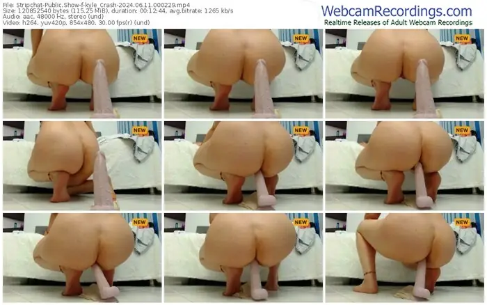 stripchat-kyle_crash-06-11-2024-00-02-29