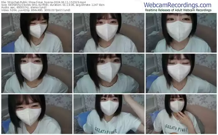 stripchat-mei_hosina-06-11-2024-15-23-23