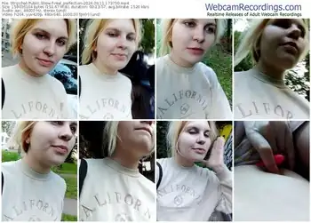 stripchat-real_perfection-06-11-2024-17-37-50