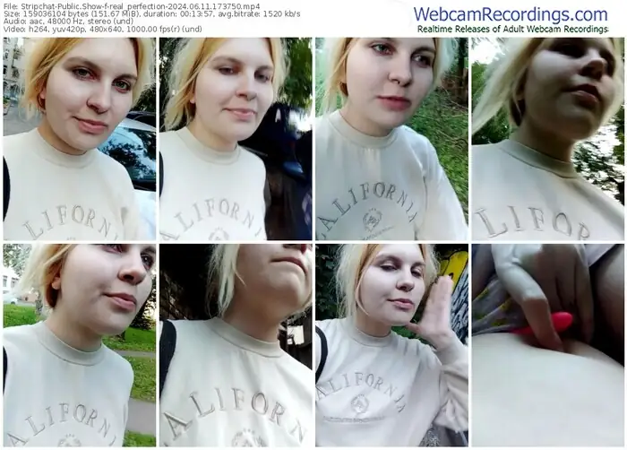 stripchat-real_perfection-06-11-2024-17-37-50