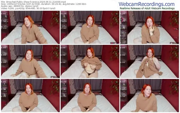 stripchat-viesica-06-11-2024-21-40-00