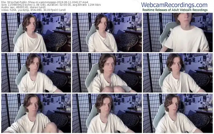 stripchat-vammmpppp-06-11-2024-00-41-27