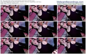 stripchat-normalanee-06-11-2024-00-10-01