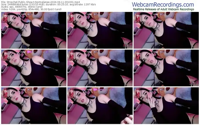 stripchat-normalanee-06-11-2024-00-10-01