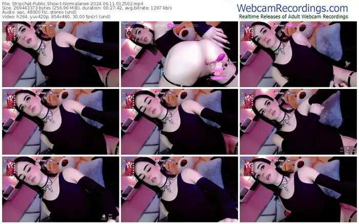 stripchat-normalanee-06-11-2024-01-25-02