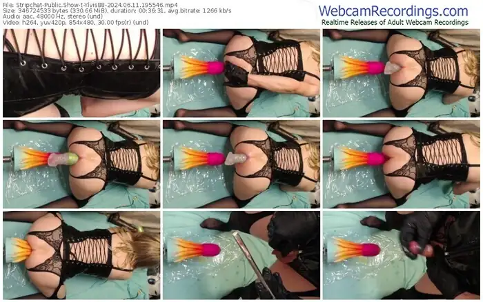 stripchat-ylvis88-06-11-2024-19-55-46