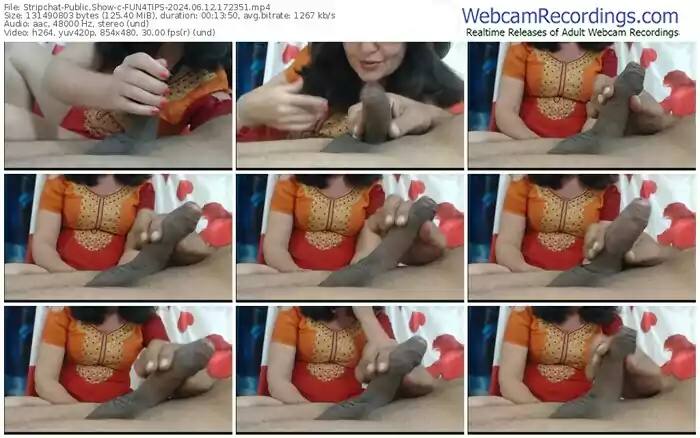 stripchat-fun4tips-06-12-2024-17-23-51
