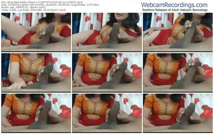 stripchat-fun4tips-06-12-2024-19-30-01