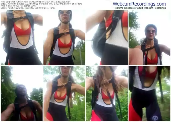 stripchat-kittywhispers-06-12-2024-23-32-25