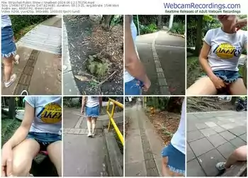 stripchat-snaibest-06-12-2024-17-02-54