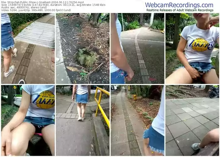 stripchat-snaibest-06-12-2024-17-02-54