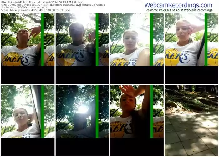 stripchat-snaibest-06-12-2024-17-19-38