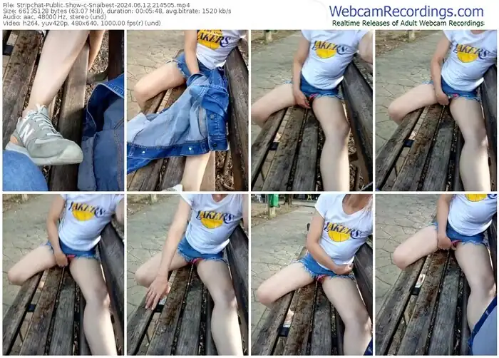 stripchat-snaibest-06-12-2024-21-45-05