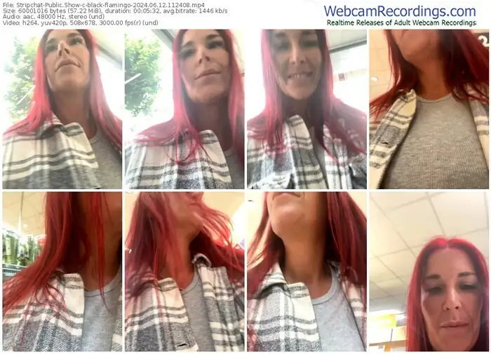 stripchat-black-flamingo-06-12-2024-11-24-08