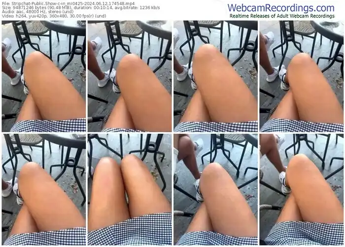 stripchat-in_mi0425-06-12-2024-17-45-48