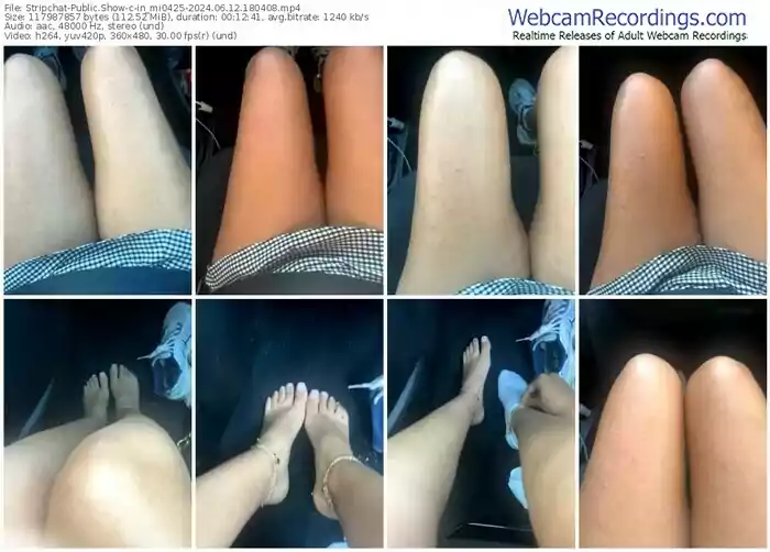 stripchat-in_mi0425-06-12-2024-18-04-08