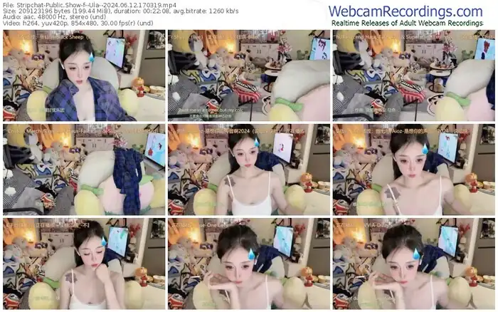 stripchat--ula--06-12-2024-17-03-19