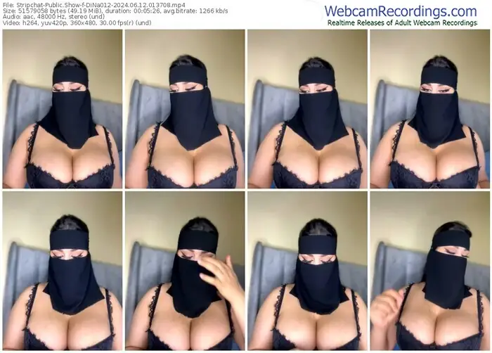 stripchat-dina012-06-12-2024-01-37-08