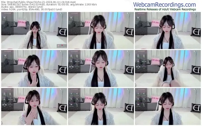 stripchat-echo-21-06-12-2024-13-13-18