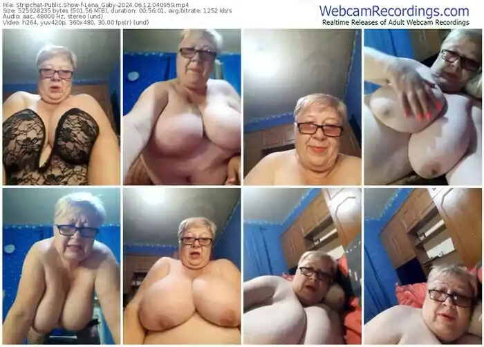 stripchat-lena_gaby-06-12-2024-04-09-59