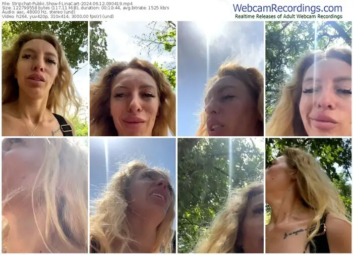 stripchat-linacart-06-12-2024-09-04-19