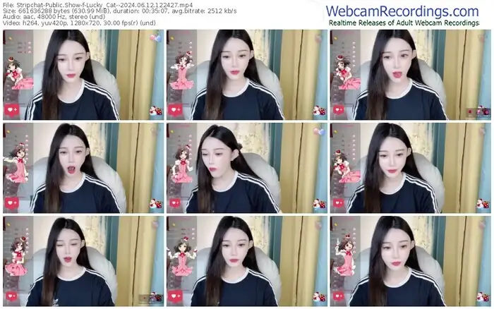 stripchat-lucky_cat--06-12-2024-12-24-27