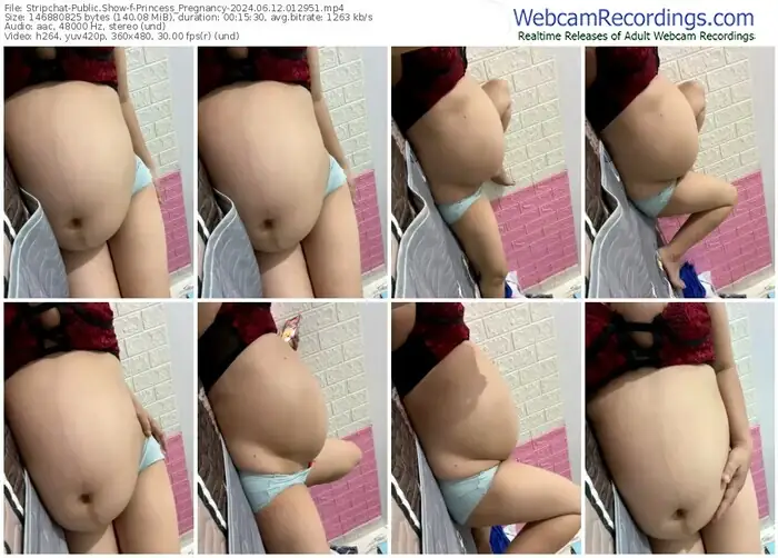 stripchat-princess_pregnancy-06-12-2024-01-29-51