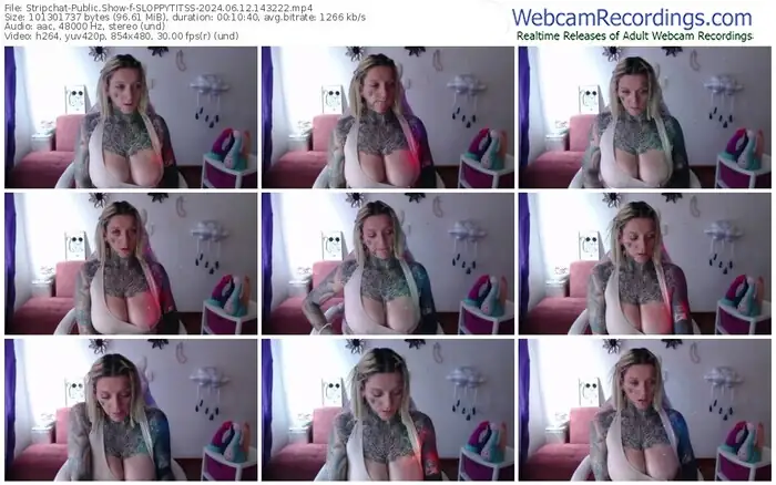 stripchat-sloppytitss-06-12-2024-14-32-22
