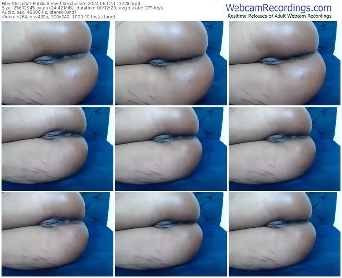 stripchat-sexclusive--06-12-2024-11-37-28