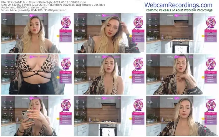 stripchat-stefienight-06-12-2024-13-36-26