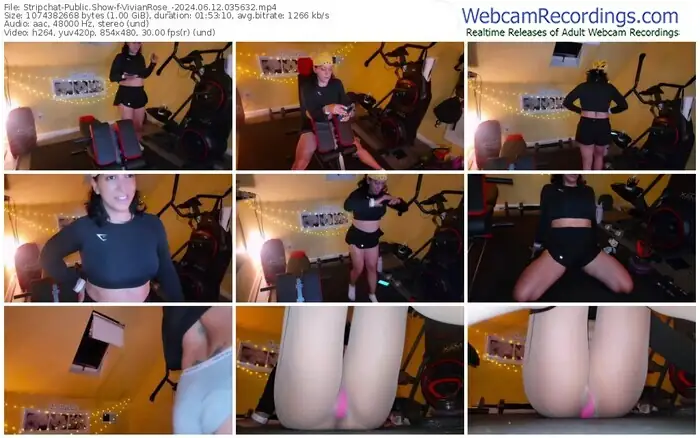 stripchat-vivianrose_-06-12-2024-03-56-32
