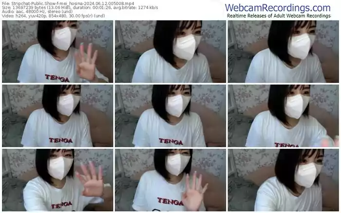 stripchat-mei_hosina-06-12-2024-00-50-08