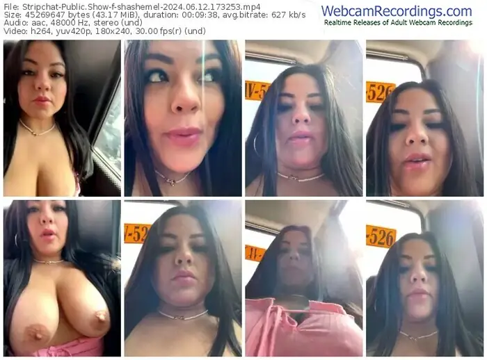 stripchat-shashemel-06-12-2024-17-32-53