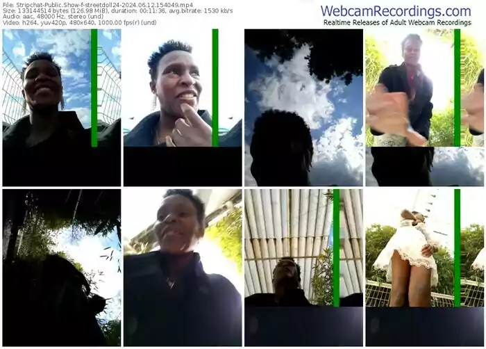 stripchat-streetdoll24-06-12-2024-15-40-49