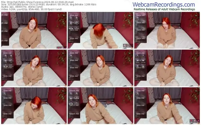 stripchat-viesica-06-12-2024-00-41-29