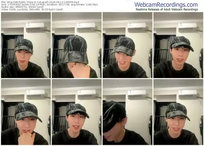 stripchat-1a1a1alll-06-12-2024-14-43-08