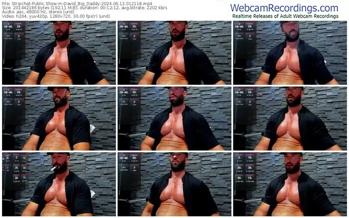 stripchat-david_big_daddy-06-12-2024-01-21-18