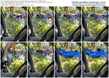 stripchat-followthepiper-06-12-2024-00-39-56