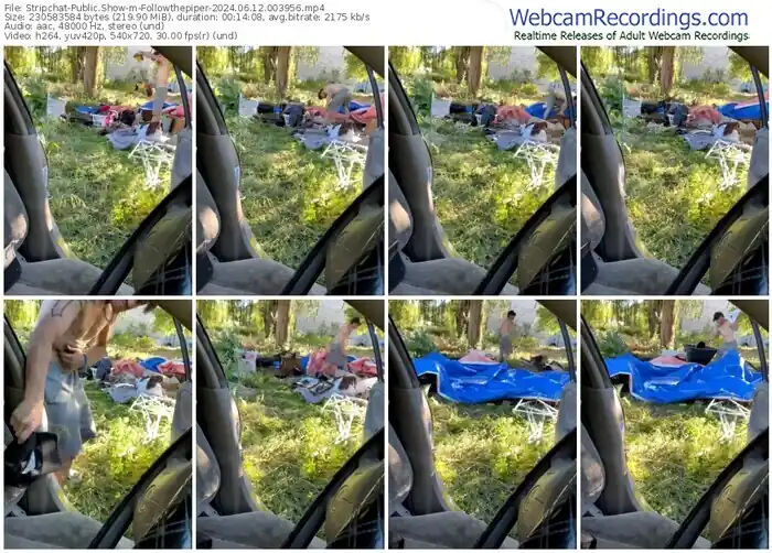 stripchat-followthepiper-06-12-2024-00-39-56