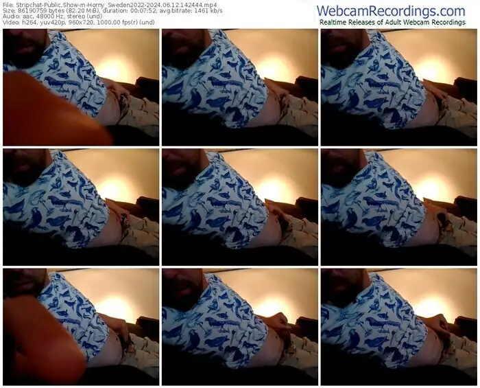 stripchat-horny_sweden2022-06-12-2024-14-24-44