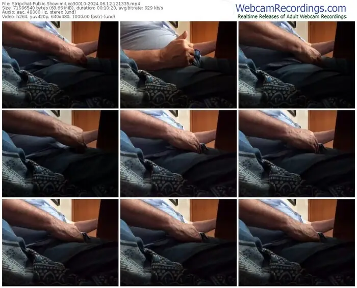 stripchat-leo30010-06-12-2024-12-13-35