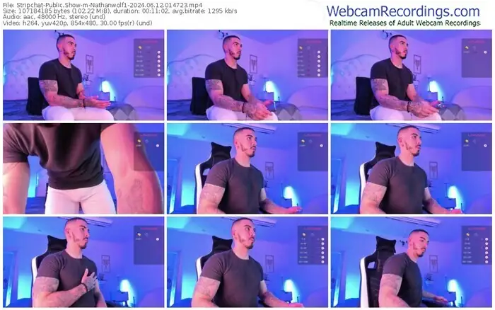 stripchat-nathanwolf1-06-12-2024-01-47-23