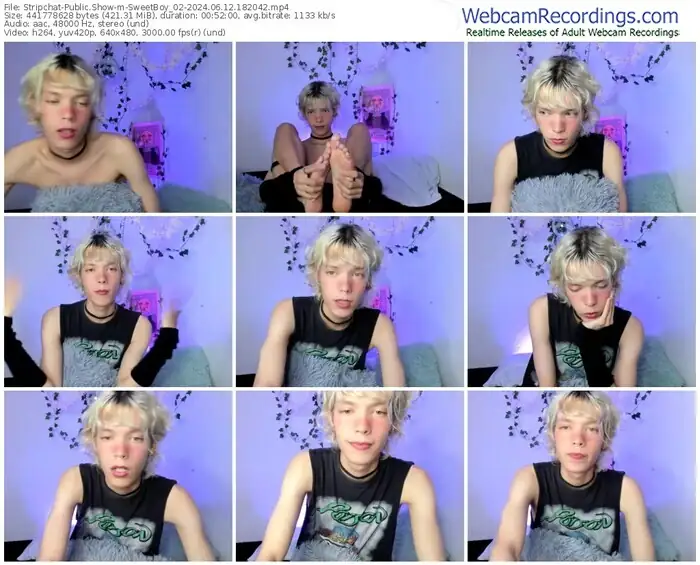 stripchat-sweetboy_02-06-12-2024-18-20-42