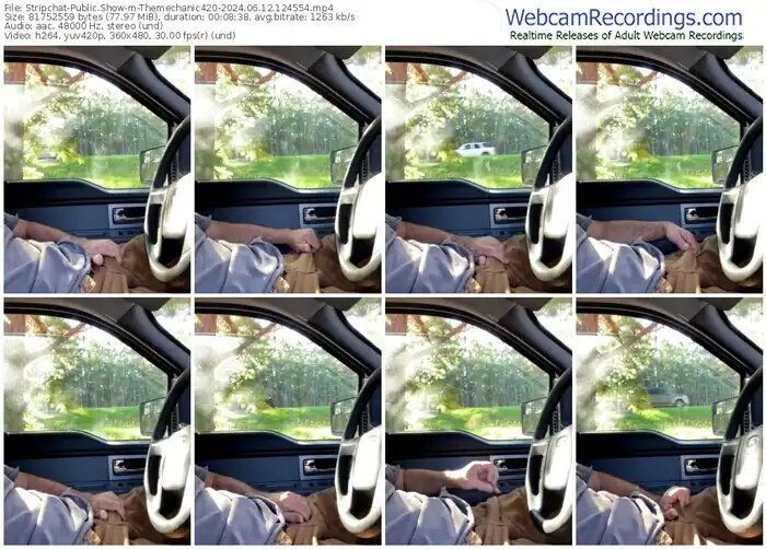 stripchat-themechanic420-06-12-2024-12-45-54