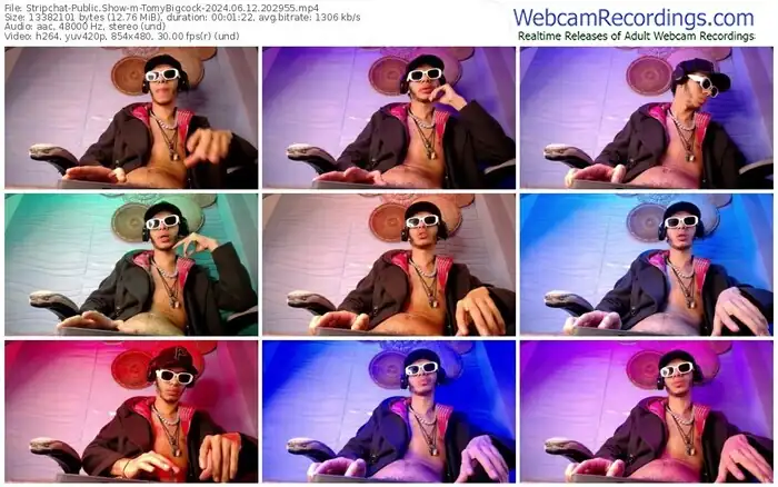 stripchat-tomybigcock-06-12-2024-20-29-55