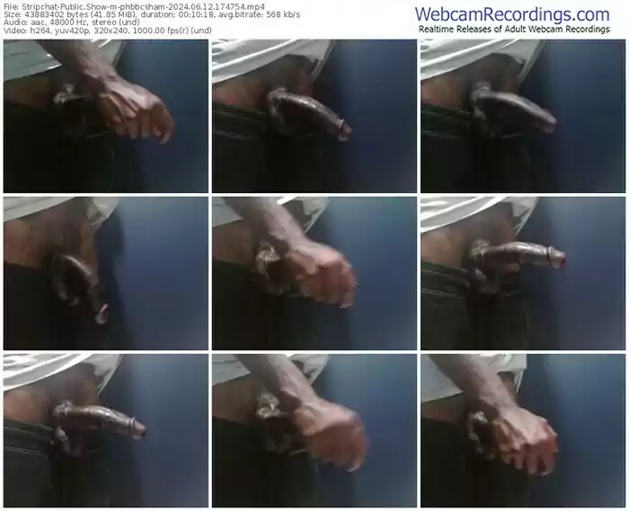 stripchat-phbbcsham-06-12-2024-17-47-54